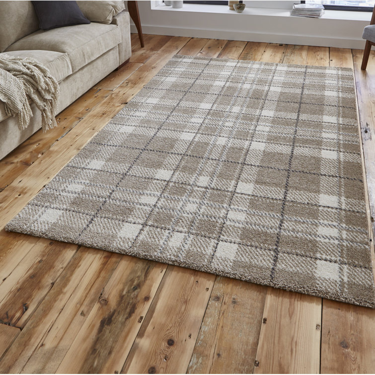 Foundstone Amara Handwoven Beige/Gray Rug & Reviews Wayfair.ie